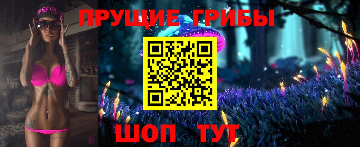 Иваново  Галлюциногенные грибы Psilocybine cubensis  Вход с VPN 